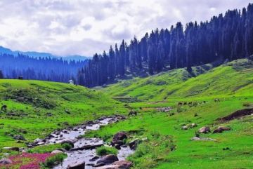 Experience 5 Days 4 Nights Srinagar, Gulmarg and Pahalgam Vacation Package