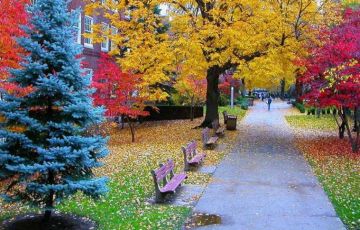 Memorable 12 Days 11 Nights Venice Holiday Package