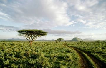 Heart-warming 8 Days 7 Nights Nairobi Tour Package