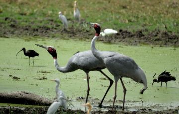 11 Days Delhi to Agra Vacation Package