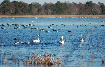 Experience 5 Days 4 Nights Bhubaneswar, Puri, Satpada and Barkul Tour Package