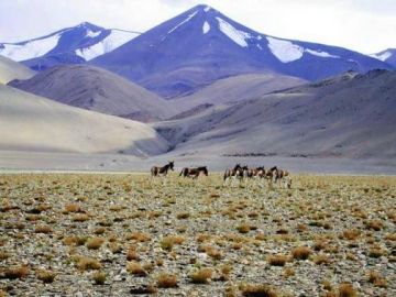 Heart-warming 12 Days 11 Nights Ladakh Vacation Package