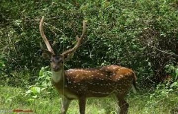 2 Days 1 Night banglore and mysore Vacation Package