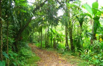 Memorable 9 Days 8 Nights Trivandrum Tour Package