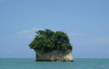 Experience 7 Days 6 Nights Port Blair Vacation Package