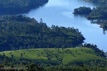 Memorable Thekkady Tour Package for 8 Days 7 Nights