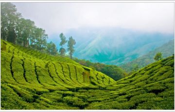 Kovalam Tour Package for 7 Days 6 Nights from Munnar