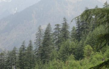 Experience 4 Days 3 Nights Tibetan Tour Package