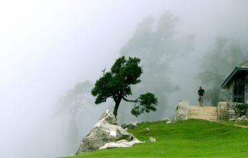 Amazing 13 Days 12 Nights Shimla Holiday Package