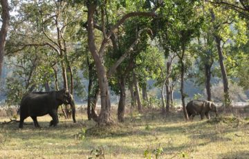 3 Days 2 Nights Rajaji National Park Trip Package