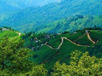 Magical 6 Days 5 Nights Gangtok with Darjeeling Tour Package