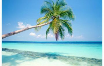 Family Getaway 16 Days 15 Nights Shravanbelagola Trip Package