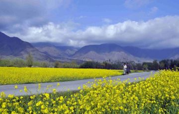 Family Getaway 5 Days 4 Nights Srinagar and Pahalgam Vacation Package