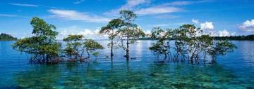 Memorable 7 Days 6 Nights Port Blair with Havelock Tour Package