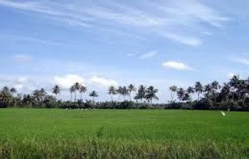 Ecstatic Cochin Tour Package for 15 Days 14 Nights