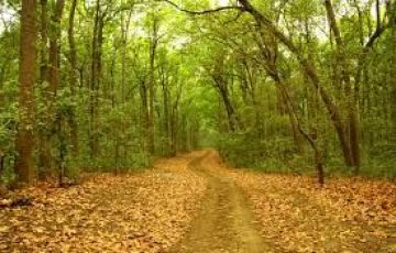 Amazing 9 Days 8 Nights Delhi, Jaipur, Agra, Mathura, Vrindavan and Corbett Holiday Package