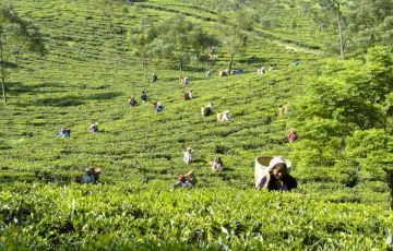 Best 11 Days 10 Nights Jaipur Vacation Package