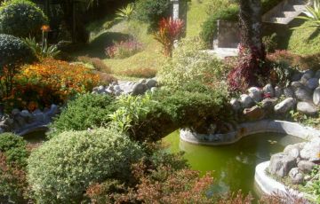 Ecstatic 10 Days 9 Nights Bagdogara, Darjeeling, Gangtok, Rumtek with Kalimpong Trip Package