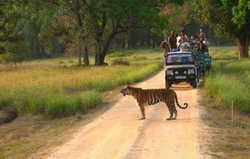 Experience 3 Days 2 Nights Kanha Holiday Package