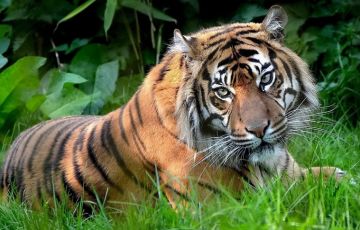 15 Days 14 Nights Wild Ass Sanctuary India Holiday Package