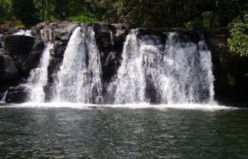 10 Days 9 Nights Bangalore, Hassan, Coorg, Mysore, Ooty, Munnar, Cochin with Mumbai Holiday Package