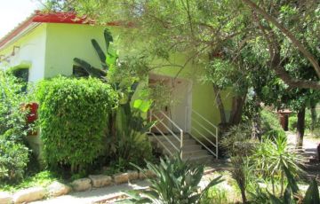 Pleasurable 5 Days 4 Nights Lachen Holiday Package