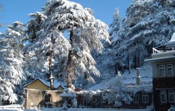 Heart-warming 7 Days 6 Nights Shimla Holiday Package