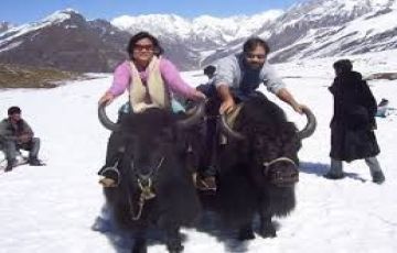 Pleasurable 2 Days 1 Night Shimla, Kufri, Manali and Chandigarh Holiday Package