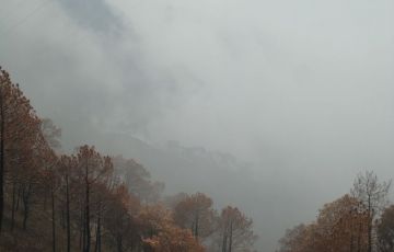 Amazing 11 Days 10 Nights Manali Holiday Package