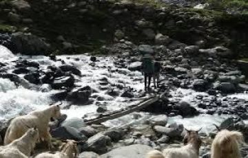 Amritsar Tour Package for 11 Days 10 Nights