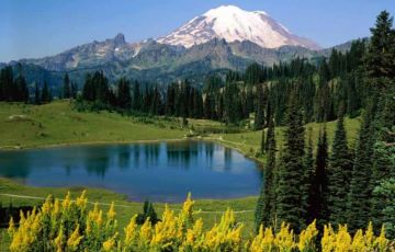 Ecstatic 6 Days 5 Nights Kalimpong Tour Package