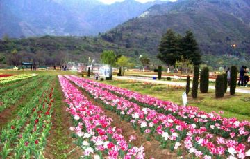 Amazing 11 Days 10 Nights Delhi, Srinagar, Kargil, Leh, Delhi with Agra Vacation Package