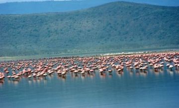 Ecstatic 8 Days 7 Nights Lake Naivasha Holiday Package