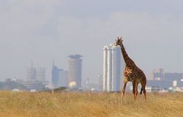 Ecstatic 8 Days 7 Nights Lake Naivasha Holiday Package