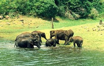 Memorable 5 Day 4 Nights Thekkady Vacation Package