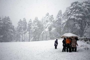 Beautiful 6 Days 5 Nights Shimla and Manali Vacation Package