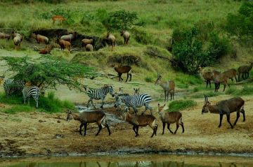 Ecstatic 10 Days 9 Nights Africa Holiday Package