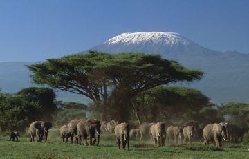 Experience 10 Days 9 Nights Nairobi, Amboseli, Naivasha, Nakuru with Narok Trip Package