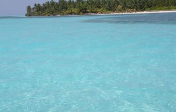 Magical 6 Days 5 Nights Cochin Vacation Package