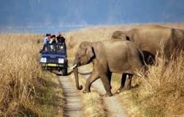 Magical 9 Days 8 Nights Delhi, Corbett, Rishikesh, Joshimath, Auli, Kaudilaya and Haridwar Holiday Package