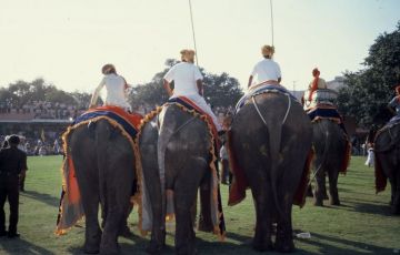 Beautiful 8 Days 7 Nights Ratwadhap Trip Package