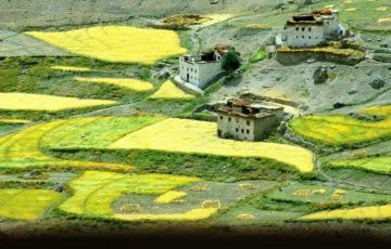 Memorable 6 Days 5 Nights Delhi, Leh, Tsomoriri Lake with Tsokar Lake Vacation Package