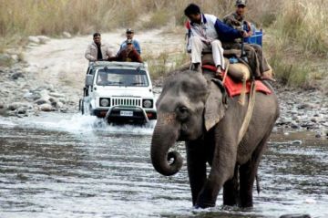 Ecstatic Jim Corbett Tour Package for 3 Days 2 Nights