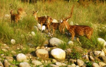 Memorable 10 Days 9 Nights Delhi, Nainital, Almora, Corbett, Haridwar and Mussorie Holiday Package