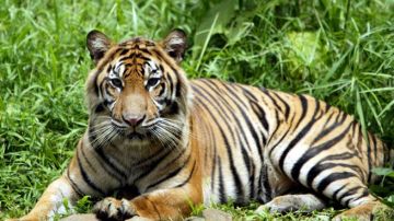 Best 7 Days 6 Nights Kausani Holiday Package