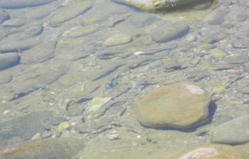 Ecstatic 6 Days 5 Nights Delhi, Nainital, Sattal, Mukteshwar with Corbett Vacation Package