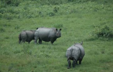 6 Days Jaldapara to Murti Tour Package