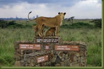 Best 5 Days 4 Nights Nairobi with Masai Mara Holiday Package