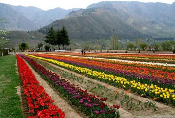 Heart-warming 5 Days 4 Nights Srinagar, Gulmarg with Pahalgam Holiday Package