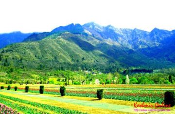 Best 9 Days 8 Nights Srinagar, Sonmarg, Pahalgam with Gulmarg Tour Package